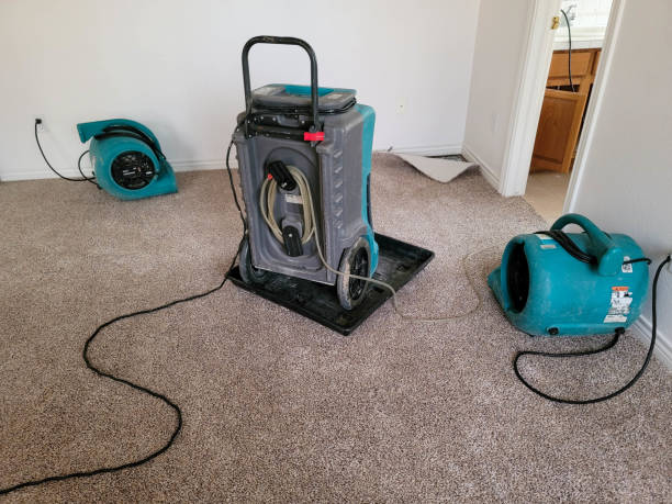 Best Water damage restoration near me  in Garrison, ND