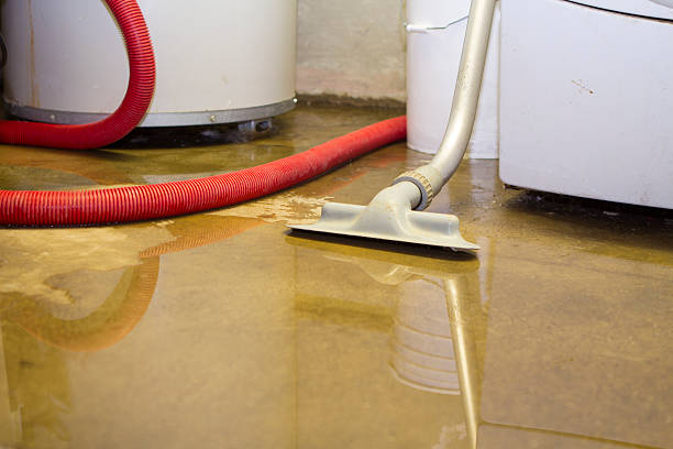 Best Flood restoration services  in Garrison, ND