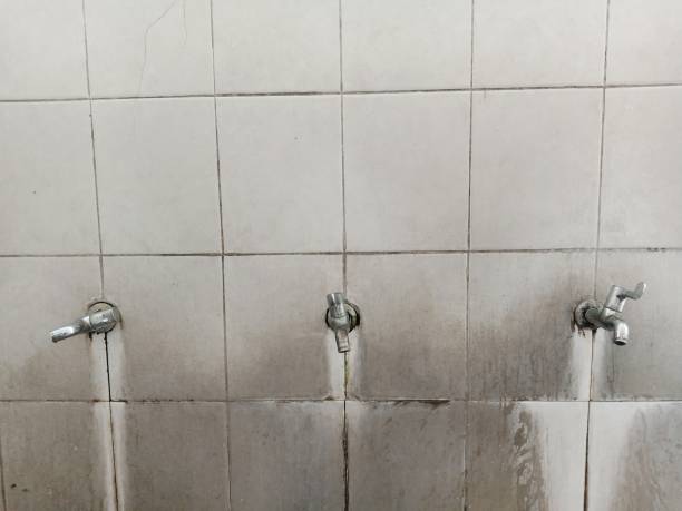 Best Carpet water damage restoration  in Garrison, ND
