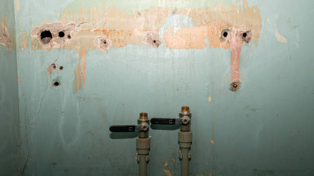 Best Water damage cleanup near me  in Garrison, ND